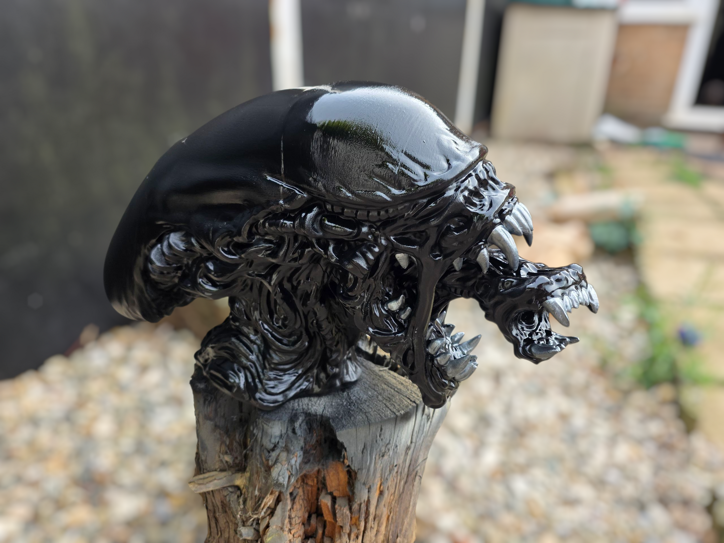 Xenomorph head display piece (24 inches in length)