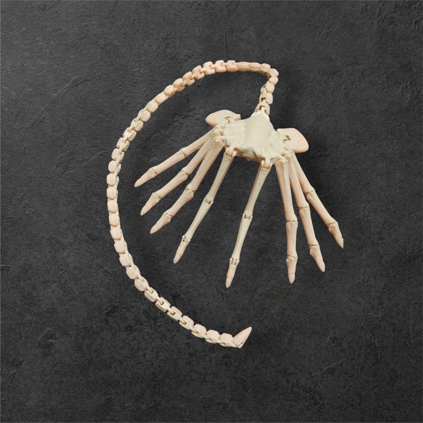 Facehugger Alien display model, articulated model.