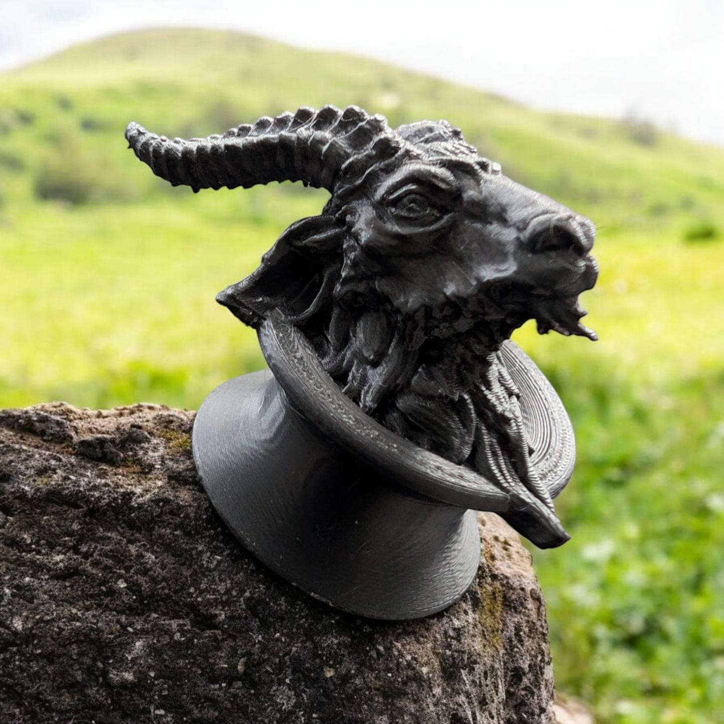 Ram Head ear Tunnels/Gauges, Ear jewellery